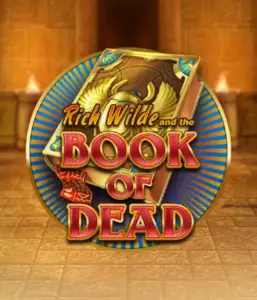 Embark on the thrilling world of Book of Dead by Play'n GO, showcasing vivid graphics of Rich Wilde's journey through ancient Egyptian tombs and artifacts. Discover lost riches with captivating mechanics like free spins, expanding symbols, and a gamble option. Ideal for adventure enthusiasts with a desire for exciting finds.